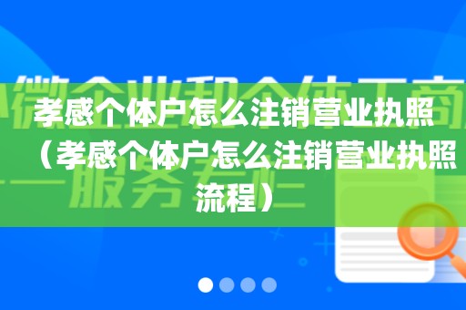 孝感个体户怎么注销营业执照（孝感个体户怎么注销营业执照流程）