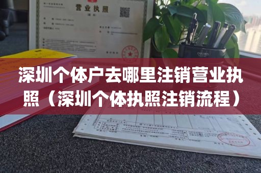 深圳个体户去哪里注销营业执照（深圳个体执照注销流程）