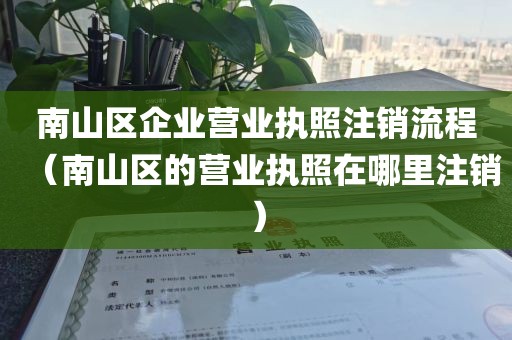 南山区企业营业执照注销流程(南山区的营业执照在哪里注销)