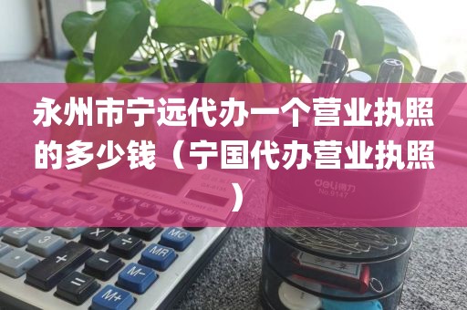 永州市宁远代办一个营业执照的多少钱（宁国代办营业执照）