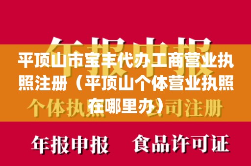 平顶山市宝丰代办工商营业执照注册（平顶山个体营业执照在哪里办）