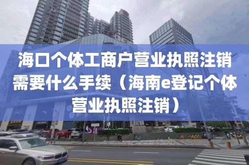 海口个体工商户营业执照注销需要什么手续（海南e登记个体营业执照注销）