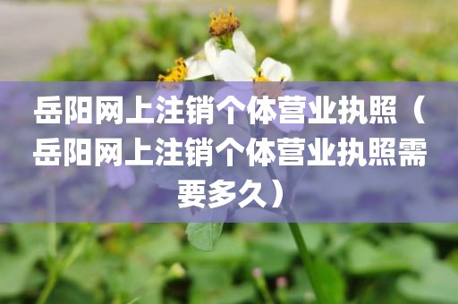 岳阳网上注销个体营业执照（岳阳网上注销个体营业执照需要多久）