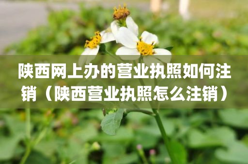 陕西网上办的营业执照如何注销（陕西营业执照怎么注销）