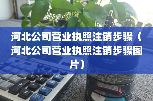 河北公司营业执照注销步骤（河北公司营业执照注销步骤图片）