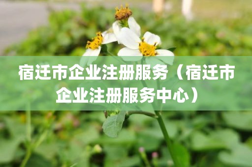 宿迁市企业注册服务（宿迁市企业注册服务中心）