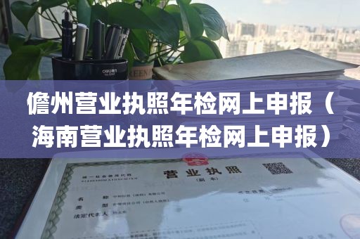 儋州营业执照年检网上申报(海南营业执照年检网上申报)