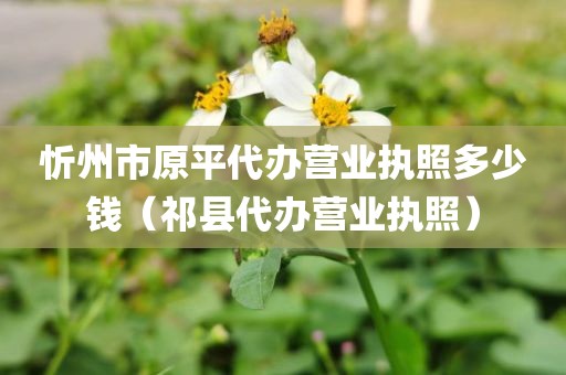 忻州市原平代办营业执照多少钱（祁县代办营业执照）