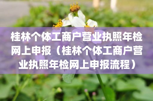 桂林个体工商户营业执照年检网上申报（桂林个体工商户营业执照年检网上申报流程）