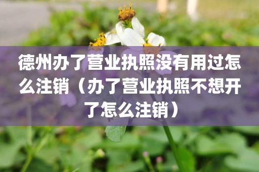 德州办了营业执照没有用过怎么注销（办了营业执照不想开了怎么注销）