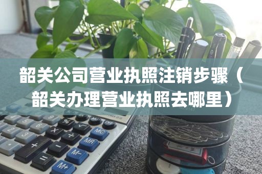 韶关公司营业执照注销步骤（韶关办理营业执照去哪里）