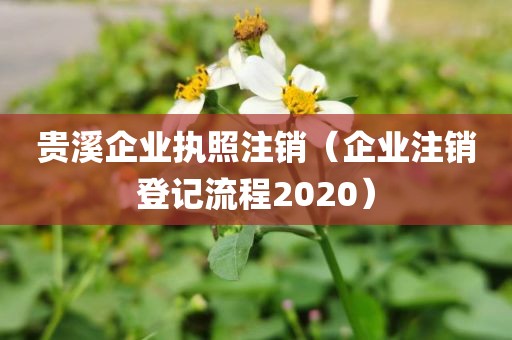 贵溪企业执照注销（企业注销登记流程2020）