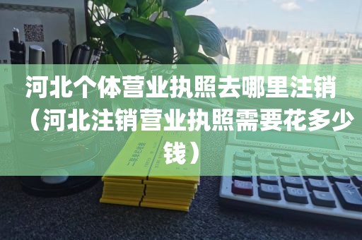 河北个体营业执照去哪里注销（河北注销营业执照需要花多少钱）
