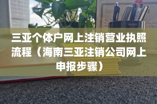 三亚个体户网上注销营业执照流程（海南三亚注销公司网上申报步骤）