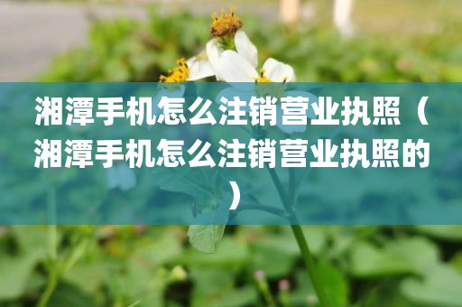湘潭手机怎么注销营业执照（湘潭手机怎么注销营业执照的）