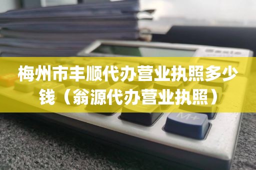 梅州市丰顺代办营业执照多少钱(翁源代办营业执照)