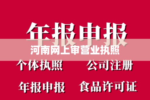 河南网上审营业执照