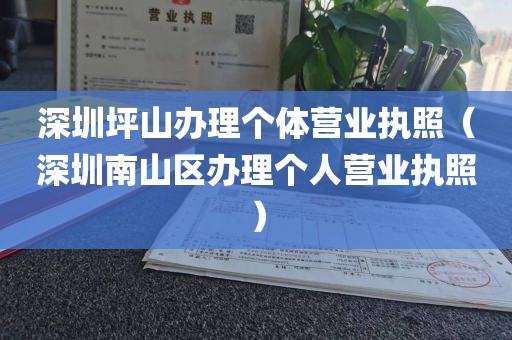 深圳坪山办理个体营业执照（深圳南山区办理个人营业执照）