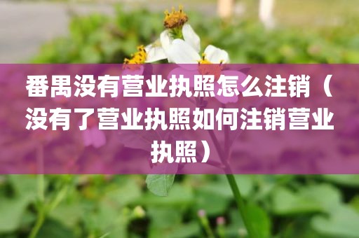 番禺没有营业执照怎么注销（没有了营业执照如何注销营业执照）