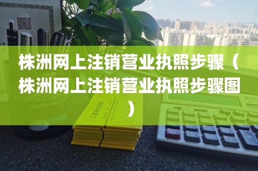 株洲网上注销营业执照步骤（株洲网上注销营业执照步骤图）