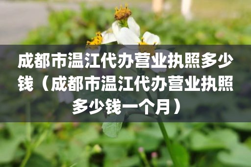 成都市温江代办营业执照多少钱（成都市温江代办营业执照多少钱一个月）