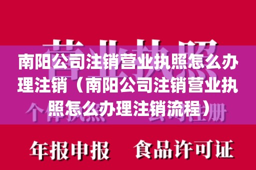 南阳公司注销营业执照怎么办理注销（南阳公司注销营业执照怎么办理注销流程）