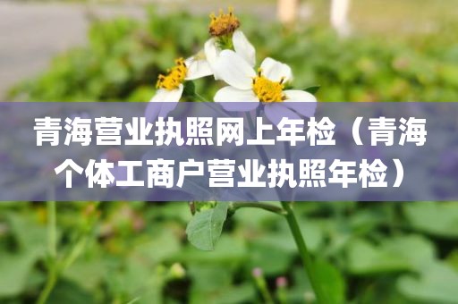 青海营业执照网上年检（青海个体工商户营业执照年检）