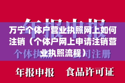万宁个体户营业执照网上如何注销（个体户网上申请注销营业执照流程）