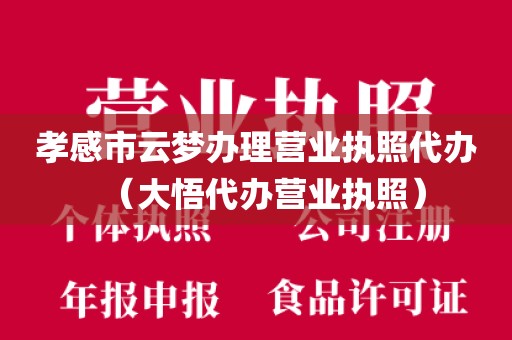 孝感市云梦办理营业执照代办（大悟代办营业执照）