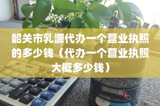 韶关市乳源代办一个营业执照的多少钱（代办一个营业执照大概多少钱）
