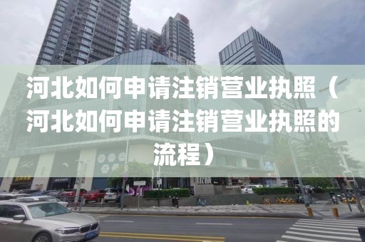 河北如何申请注销营业执照（河北如何申请注销营业执照的流程）