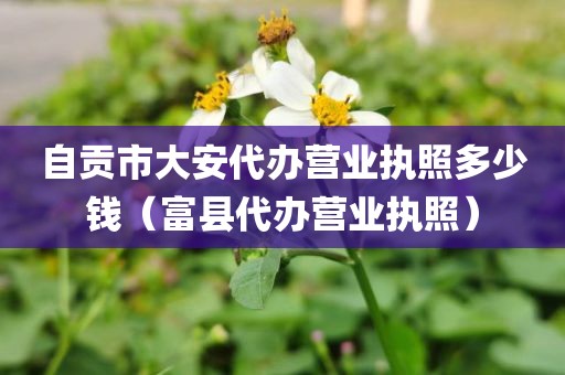 自贡市大安代办营业执照多少钱（富县代办营业执照）