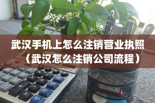 武汉手机上怎么注销营业执照（武汉怎么注销公司流程）