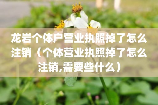 龙岩个体户营业执照掉了怎么注销（个体营业执照掉了怎么注销,需要些什么）