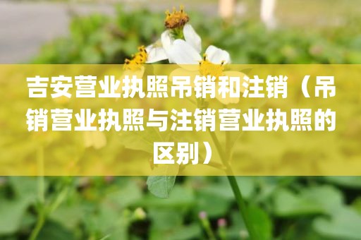 吉安营业执照吊销和注销（吊销营业执照与注销营业执照的区别）