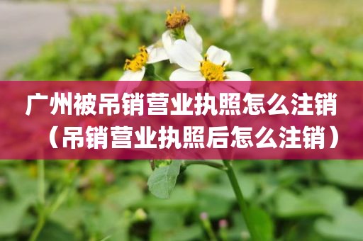 广州被吊销营业执照怎么注销（吊销营业执照后怎么注销）