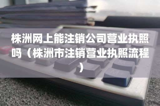 株洲网上能注销公司营业执照吗（株洲市注销营业执照流程）