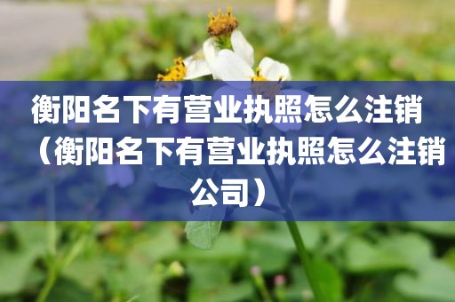 衡阳名下有营业执照怎么注销（衡阳名下有营业执照怎么注销公司）