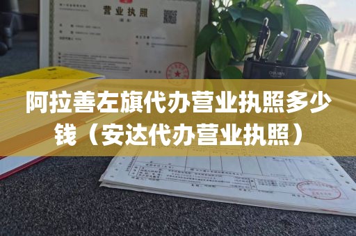 阿拉善左旗代办营业执照多少钱（安达代办营业执照）