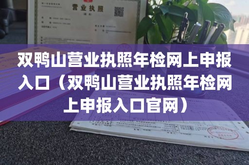 双鸭山营业执照年检网上申报入口(双鸭山营业执照年检网上申报入口官网)
