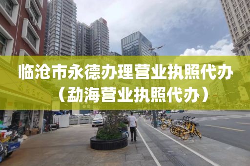 临沧市永德办理营业执照代办（勐海营业执照代办）