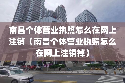 南昌个体营业执照怎么在网上注销(南昌个体营业执照怎么在网上注销掉)