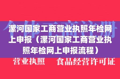 漯河国家工商营业执照年检网上申报（漯河国家工商营业执照年检网上申报流程）