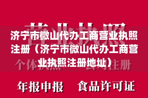 济宁市微山代办工商营业执照注册（济宁市微山代办工商营业执照注册地址）