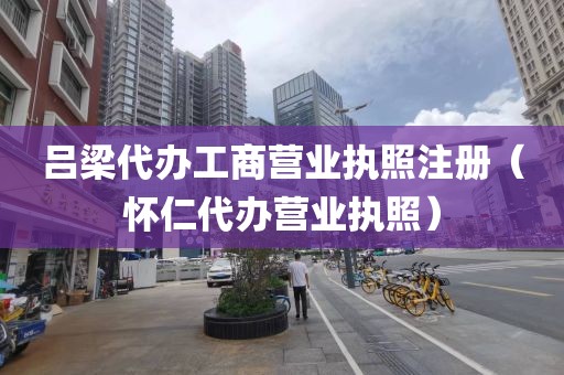 吕梁代办工商营业执照注册（怀仁代办营业执照）