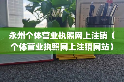 永州个体营业执照网上注销（个体营业执照网上注销网站）