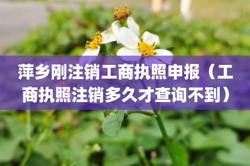 萍乡刚注销工商执照申报（工商执照注销多久才查询不到）