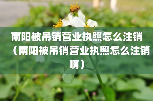 南阳被吊销营业执照怎么注销（南阳被吊销营业执照怎么注销啊）