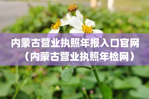 内蒙古营业执照年报入口官网（内蒙古营业执照年检网）