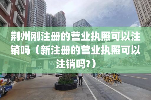荆州刚注册的营业执照可以注销吗（新注册的营业执照可以注销吗?）